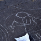 Demonstráció az éjszakai autóversenyzés ellen