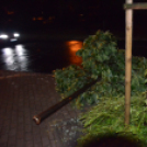 Viharkárok a Ceglédi térségben 