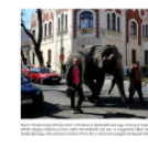 Ez történt Cegléden 2014-ben