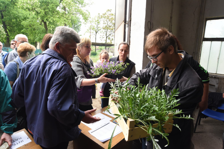 Szebb, virágosabb Ceglédért