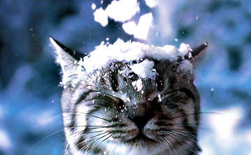 Figyelem! Estétől hullhat a pelyhes 