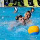 Miami vízilabdások Cegléden