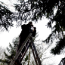 Vadak karácsonya Nyársapáton