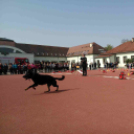 ,,Pindur-Pandúr'' - Közlekedésbiztonsági vetélkedő a Táncsicsban