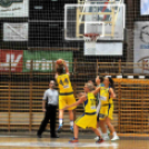 CEGLÉDI EKK – CMB CARGO GYŐR 66–74