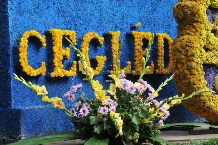 XIX. Kossuth Toborzó - péntek