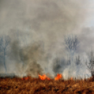 Száraz növényzet égett