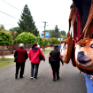 Anyák napi virágvásár és Anyám tyúkja főzőverseny