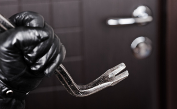 Lopás autóból, lakásból, vonatról, boltból, erdőből