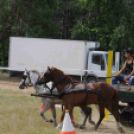 Laska fesztivál - szombat délelőtt