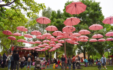 Közútkezelői tájékoztatás