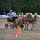 Ahol még a lovak is asztalhoz ülnek...