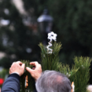 Karácsonyfa díszítő verseny