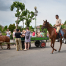 Lovasfelvonulás a belvárosban