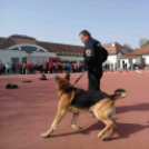 ,,Pindur-Pandúr'' - Közlekedésbiztonsági vetélkedő a Táncsicsban