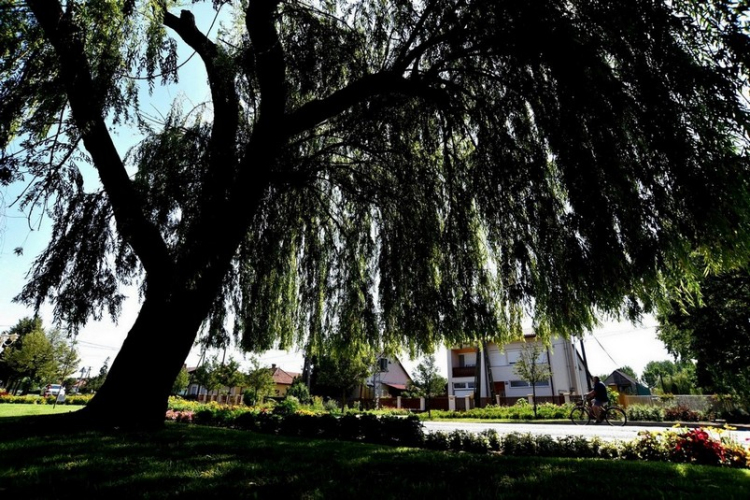 Csemőben is járt a nemzetközi zsűri