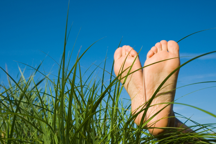 Ceglédi betörők a fűben