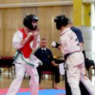 Sysman Open Nemzetközi Karateverseny