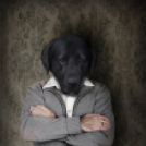 ARTpoétika - Sallai Jutka fotói