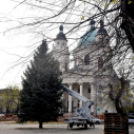 Megérkezett a város karácsonyfája