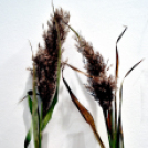 Gyékényből Szőtt Egyesület kiállítása