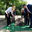 Kosárlabdacsarnok alapkőletétel 