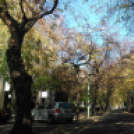 Halló Cegléd - Rákóczi út