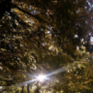 Halló Cegléd! - telefonfotók