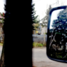 Megérkezett a város karácsonyfája