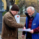 Felállították a város karácsonyfáját