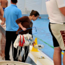 Ceglédi Vasutas Sport Egyesület - HVSC (Hódmezővásárhely) 11 - 6