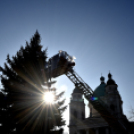 Feldíszítették a város karácsonyfáját