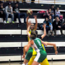 CEGLÉDI EKK – CMB CARGO GYŐR 66–74