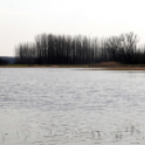 Belvízkárok Cegléden