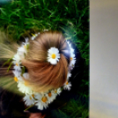 Ádori Orsolya fotókiállítása a Ceglédi Kossuth Lajos Gimnáziumban