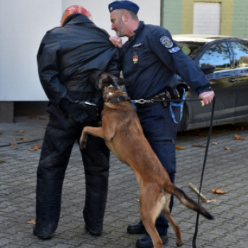 Nyílt Nap a Ceglédi Rendőrkapitányságon