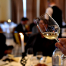 Város Bora választás 2016