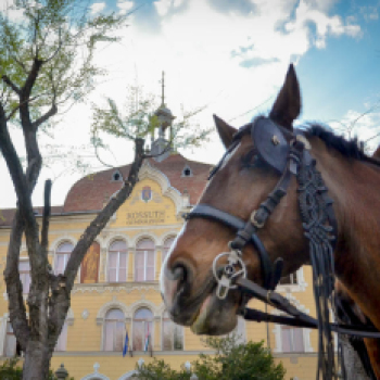 Szerenádoztak a gimisek