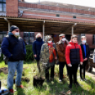 Két új magnóliafát ültettek