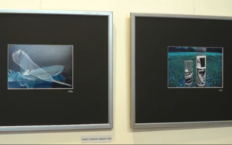 Csendéletek? – Apáti-Tóth Sándor tárlata