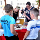 Zenei fesztivál a Táncsicsban