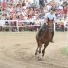 IX. Bor és Laskafesztivál - IV. Ceglédi Vágta