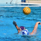 Olympics Way Nemzetközi Felkészülési Torna 