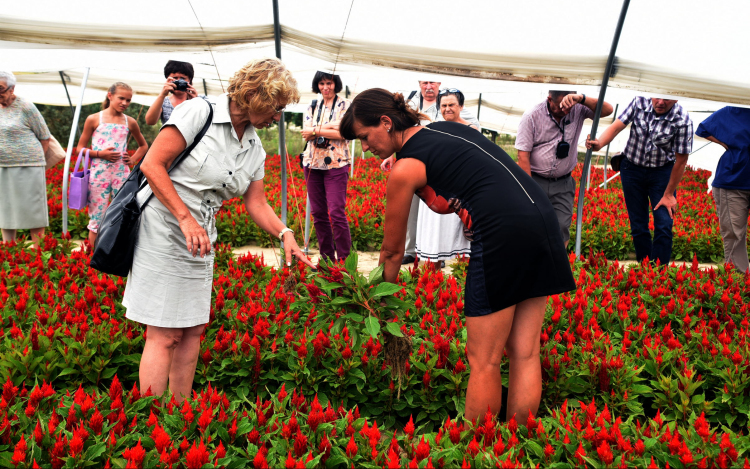 Csemő díszpolgárára emlékeztek