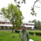 Czigle fűzfákat ültettek a Malom térre