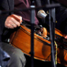 Magyar Kultúra Napja Cegléden