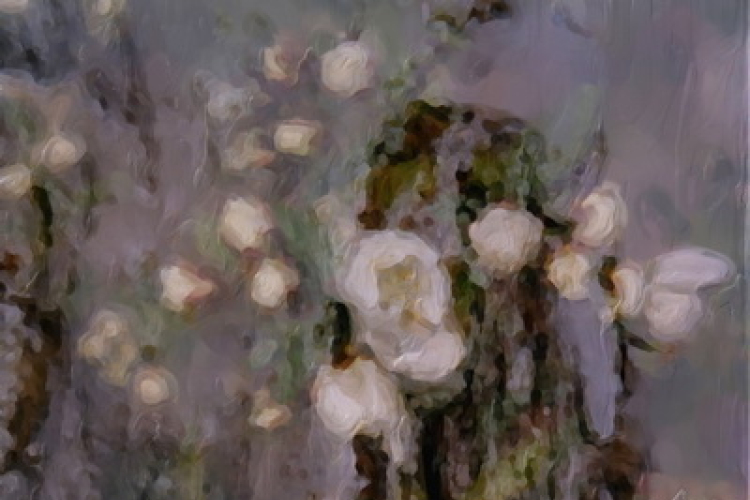 ,,Tudom e mérni a mérhetetlent’’