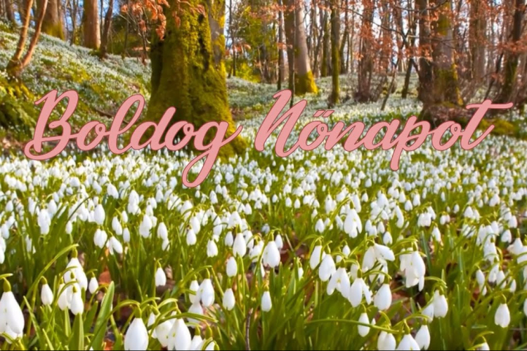 Cegléd város nőnapi köszöntője