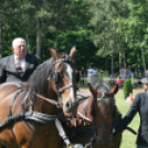 IX. Bor és Laskafesztivál - IV. Ceglédi Vágta