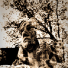 Baán Katalin - fotókiállítás 